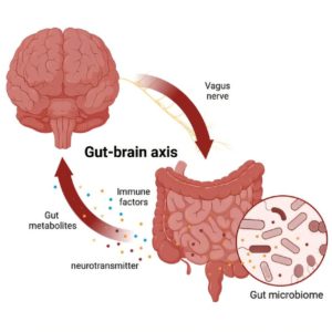 Identification of  bacterial infection tied to Alzheimer’s – A4DP™