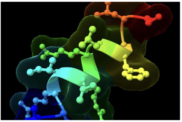 AI & Stanford discover safer, natural occurring “Ozempic” peptide BRP – far less muscle mass loss and other adverse side effects