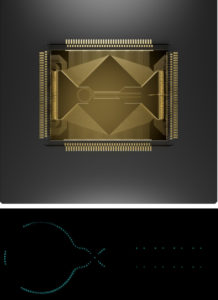 QAI Quantum AI™ announces N96 NVIDIA – 96qbit – AMD TriChip