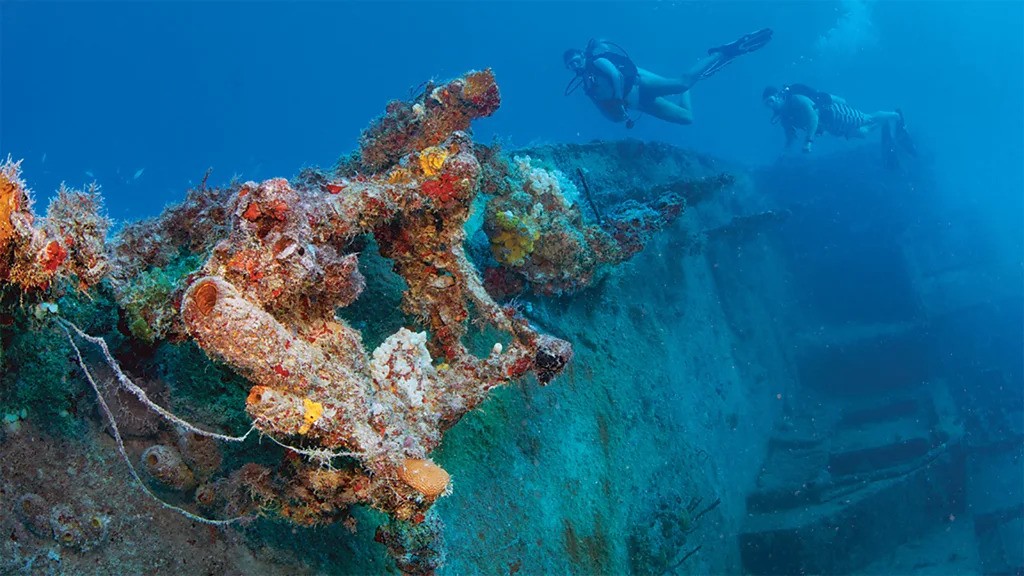World’s 6 Best Dives