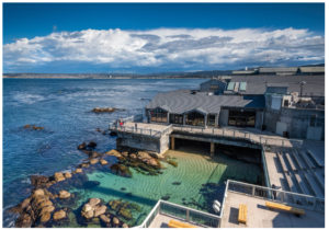 Monterey Bay Aquarium & Tidal Pool (w 8:44 audio)