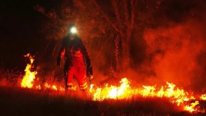 Wildfires burn across parts of France and Spain, move east