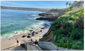 Swimming La Jolla Cove – YOU can start!